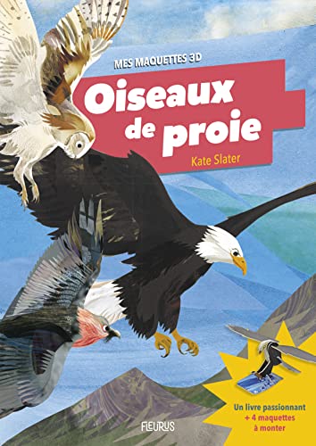 Beispielbild fr Oiseaux de proie : Avec 4 maquettes  monter zum Verkauf von medimops