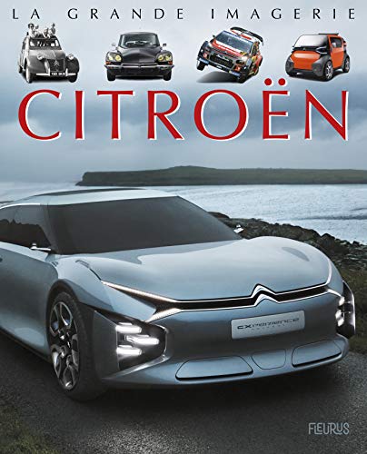 Imagen de archivo de Citroen a la venta por medimops