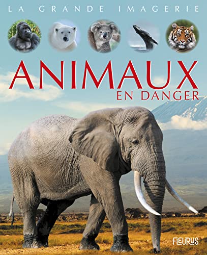 Beispielbild fr Animaux en danger zum Verkauf von Librairie Th  la page