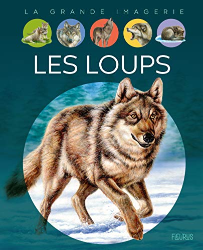 9782215174882: Les loups (LA GRANDE IMAGERIE)