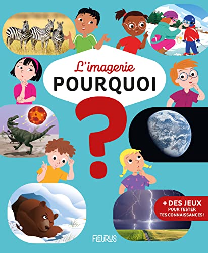 Stock image for L'imagerie - Pourquoi ? for sale by Gallix