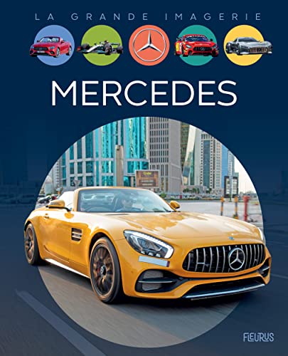 Imagen de archivo de Mercedes a la venta por Librairie Th  la page