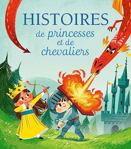 Stock image for Histoires de princesses et de chevaliers for sale by medimops