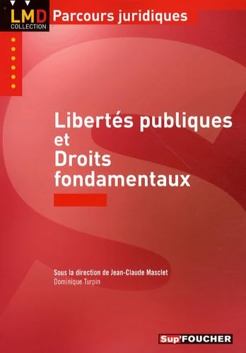 Stock image for Liberts publiques et droits fondamentaux for sale by Ammareal