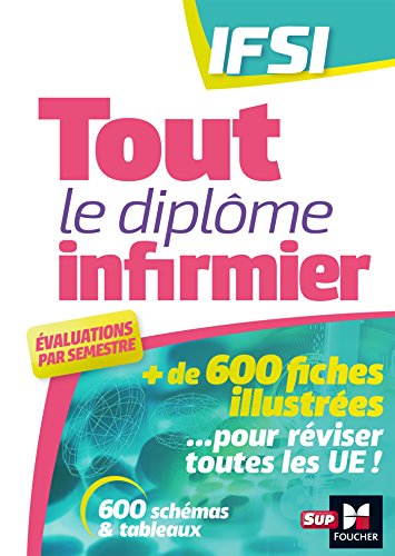 9782216148301: Tout le Diplme Infirmier en fiches mmos - DEI - UE 1.1  6.2 - IFSI - Entrainement rvision