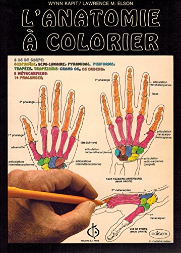 Stock image for L'Anatomie  colorier for sale by deric