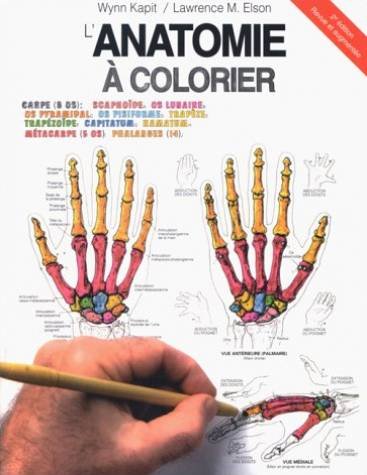Imagen de archivo de L'anatomie  Colorier a la venta por RECYCLIVRE