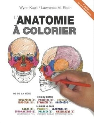 Stock image for L'anatomie  Colorier for sale by RECYCLIVRE