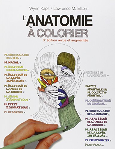 Imagen de archivo de L'anatomie  colorier a la venta por medimops
