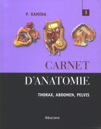 Beispielbild fr Carnet d'anatomie : Tome 3, Thorax, abdomen, pelvis zum Verkauf von medimops