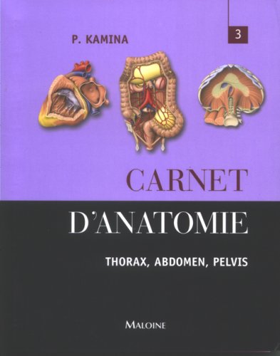 Stock image for Carnet d'anatomie : Tome 3, Thorax, abdomen, pelvis for sale by medimops