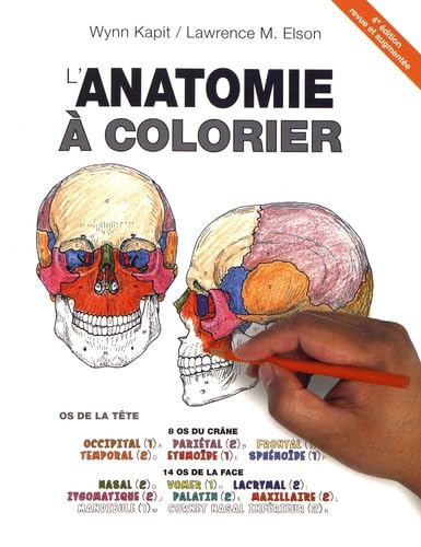 Beispielbild fr L'anatomie  colorier zum Verkauf von medimops