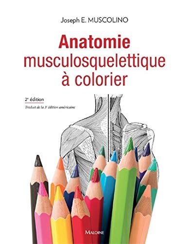 Imagen de archivo de Anatomie musculosquelettique  colorier a la venta por medimops
