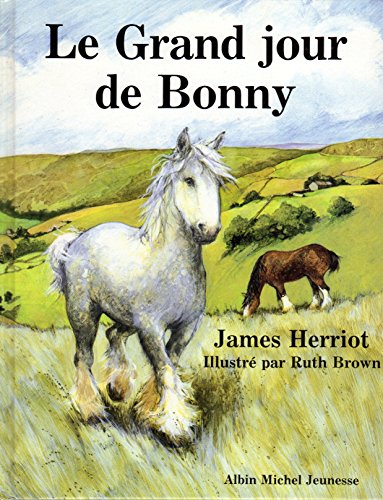 Beispielbild fr Le Grand Jour De Bonny zum Verkauf von RECYCLIVRE