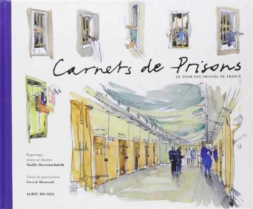 Stock image for Carnets de prisons. Le Tour des prisons de France for sale by Ammareal