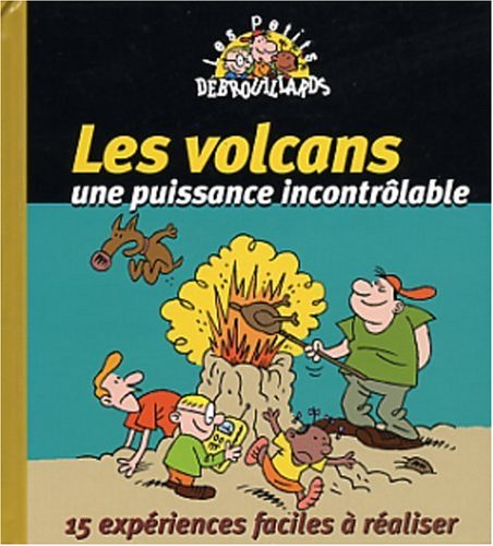 Beispielbild fr Les Volcans, Une Puissance Incontrlable zum Verkauf von RECYCLIVRE