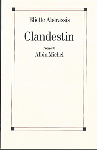 9782226141620: Clandestin: 6072771 (Romans, Nouvelles, Recits (Domaine Francais))