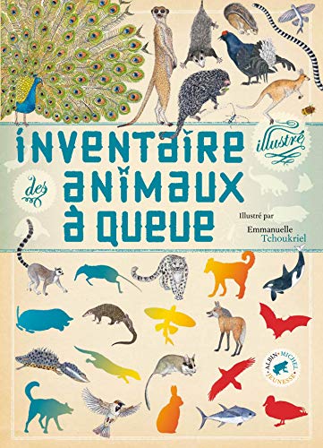 Beispielbild fr Inventaire illustr des animaux  queue zum Verkauf von Ammareal
