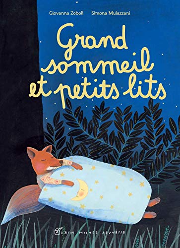 Stock image for Grand sommeil et petits lits for sale by medimops