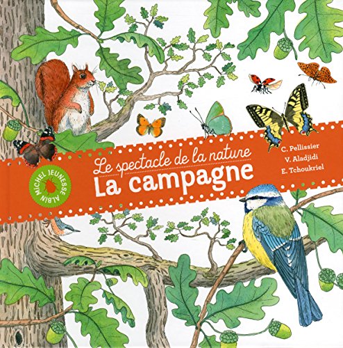 Stock image for La Campagne: Le spectacle de la nature for sale by Ammareal