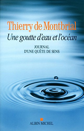 Stock image for Une goutte d'eau et l'ocan : Journal en qute de sens for sale by Ammareal