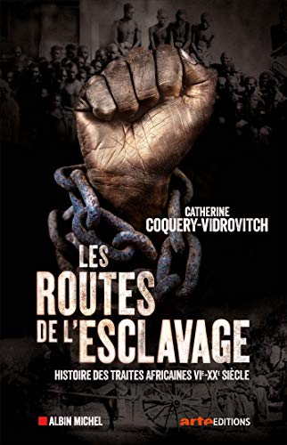9782226400741: Les routes de l'esclavage: Histoires des traites africaines VIe-XXe sicle