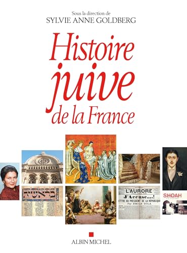 Beispielbild fr histoire juive de la France zum Verkauf von Chapitre.com : livres et presse ancienne
