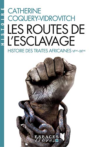 Beispielbild fr Les Routes De L'esclavage : Histoire Des Traites Africaines, Vie-xxe Sicle zum Verkauf von RECYCLIVRE
