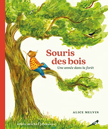 Stock image for Souris des bois - Une anne dans la fort for sale by medimops