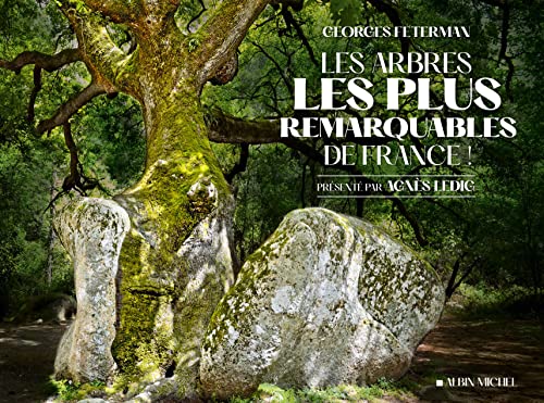 Beispielbild fr Les Arbres les plus remarquables de France zum Verkauf von medimops