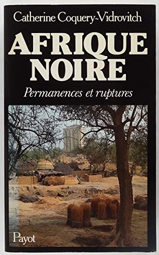 Beispielbild fr Afrique Noire : Permanences Et Ruptures (aux Origines De Notre Temps) zum Verkauf von RECYCLIVRE