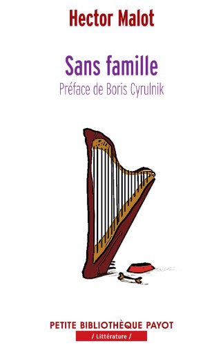 9782228910316: Sans famille