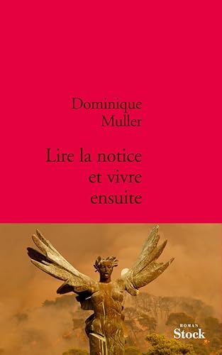 Beispielbild fr Lire la notice et vivre ensuite [Paperback] Muller, Dominique zum Verkauf von LIVREAUTRESORSAS