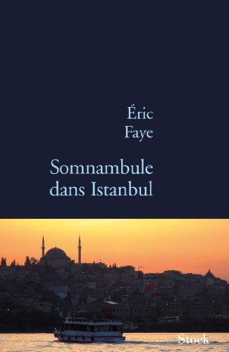 Beispielbild fr Somnanbule dans Istanbul zum Verkauf von A TOUT LIVRE