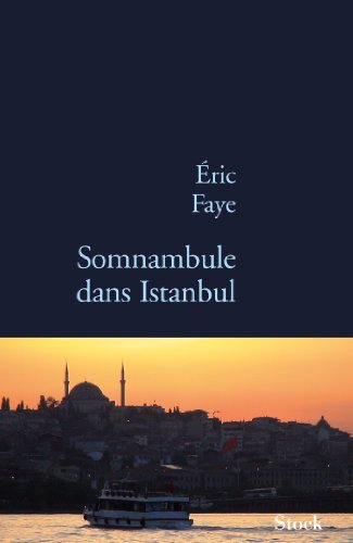 Imagen de archivo de Somnanbule dans Istanbul a la venta por A TOUT LIVRE