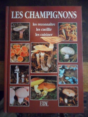 Beispielbild fr Les champignons zum Verkauf von Ammareal