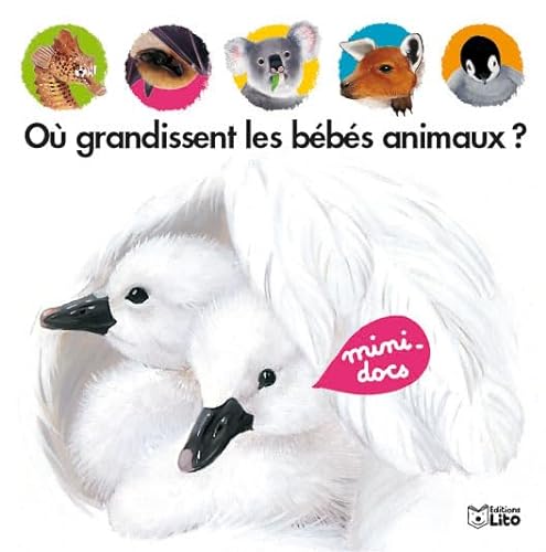 Stock image for O grandissent les bbs animaux ? for sale by medimops