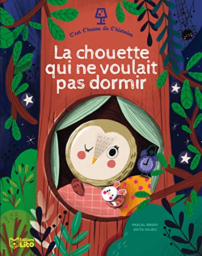 Stock image for La Chouette Qui Ne Voulait Pas Dormir for sale by RECYCLIVRE