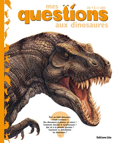 Beispielbild fr Mes questions aux dinosaures zum Verkauf von AwesomeBooks