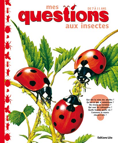 Stock image for Mes Questions aux insectes : Documentaire - Ds 7 ans for sale by Ammareal