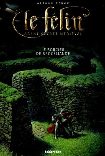 Beispielbild fr Le Flin : Le sorcier de Brocliande zum Verkauf von medimops