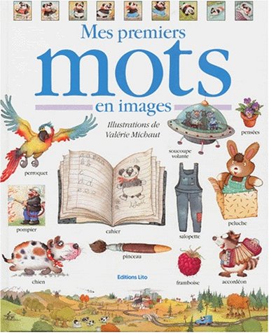 Beispielbild fr Mon grand livre de mots zum Verkauf von Ammareal