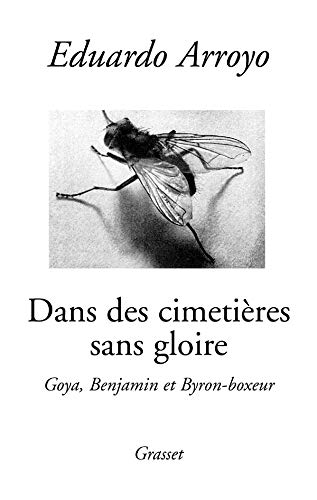 9782246658917: Dans des cimetires sans gloire : Goya, Benjamin et Byron-Boxeur