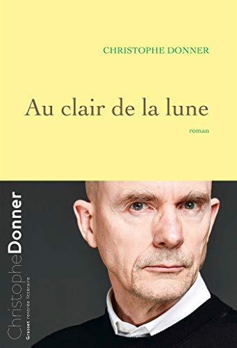 Stock image for Au clair de la lune: roman for sale by Ammareal