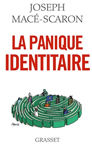 Stock image for La panique identitaire: essai for sale by Ammareal