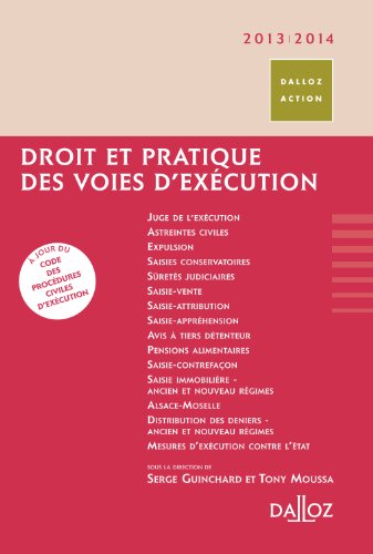 Beispielbild fr Droit et pratique des voies d'excution 2013/2014 zum Verkauf von Ammareal
