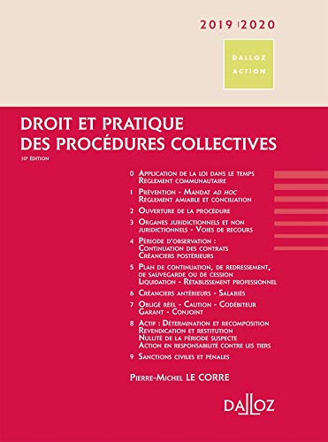 Stock image for Droit et pratique des proc dures collectives 2019/2020 - 10e ed. for sale by WorldofBooks