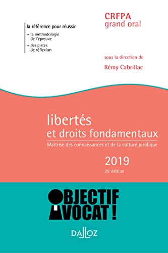 Stock image for Liberts et droits fondamentaux: Matrise des connaissances et de la culture juridique for sale by Ammareal