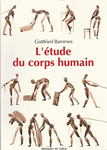 Stock image for L'etude du corps humain for sale by medimops