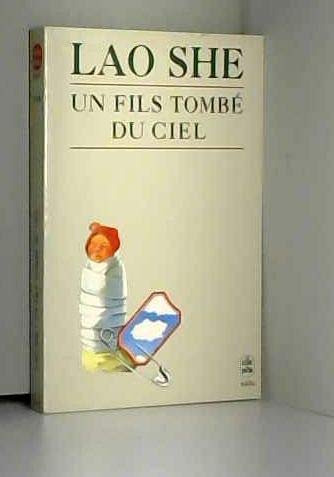 9782253060680: Un fils tomb du ciel